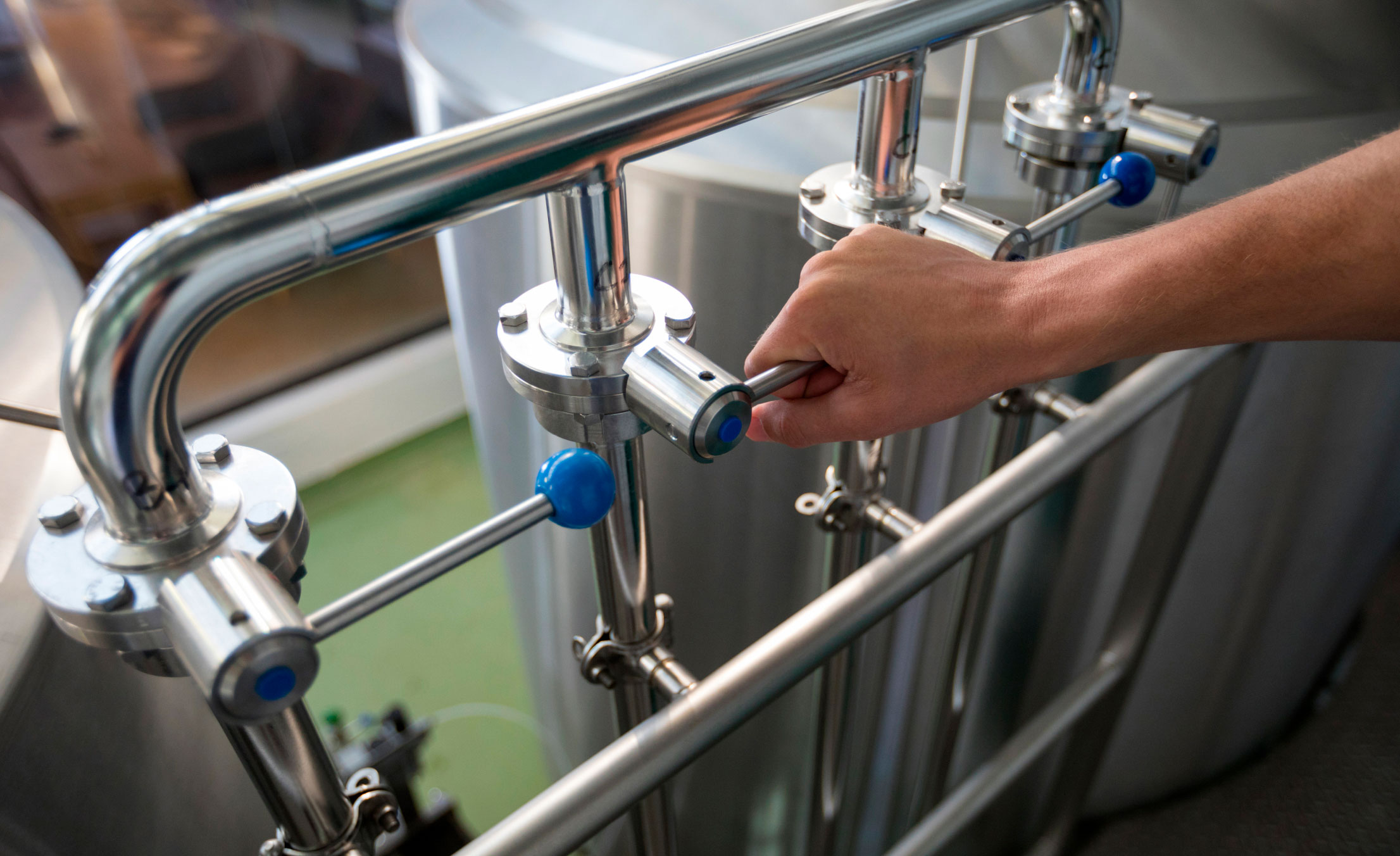 meat-and-pultry-description-image